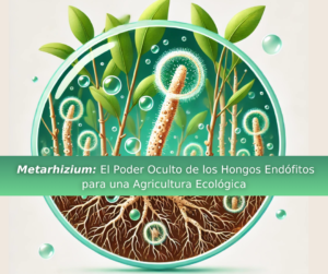 Ilustración conceptual de Metarhizium como hongo endófito en la agricultura con raíces de plantas y control biológico de insectos