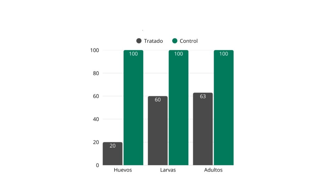 Gráfica comparativa control versus tratado para huevos, larvas y adultos de mosca blanca, con el control a índice 100 y valores reducidos en las parcelas tratadas con Metarhizium robertsii NTC/FG/03 según datos de Eurofins.