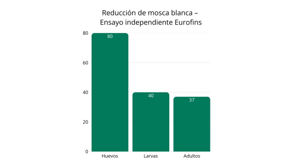 Gráfica de barras que muestra una reducción del 80 % en huevos, 40 % en larvas y 37 % en adultos de mosca blanca en un ensayo independiente de Eurofins con Metarhizium robertsii NTC/FG/03.
